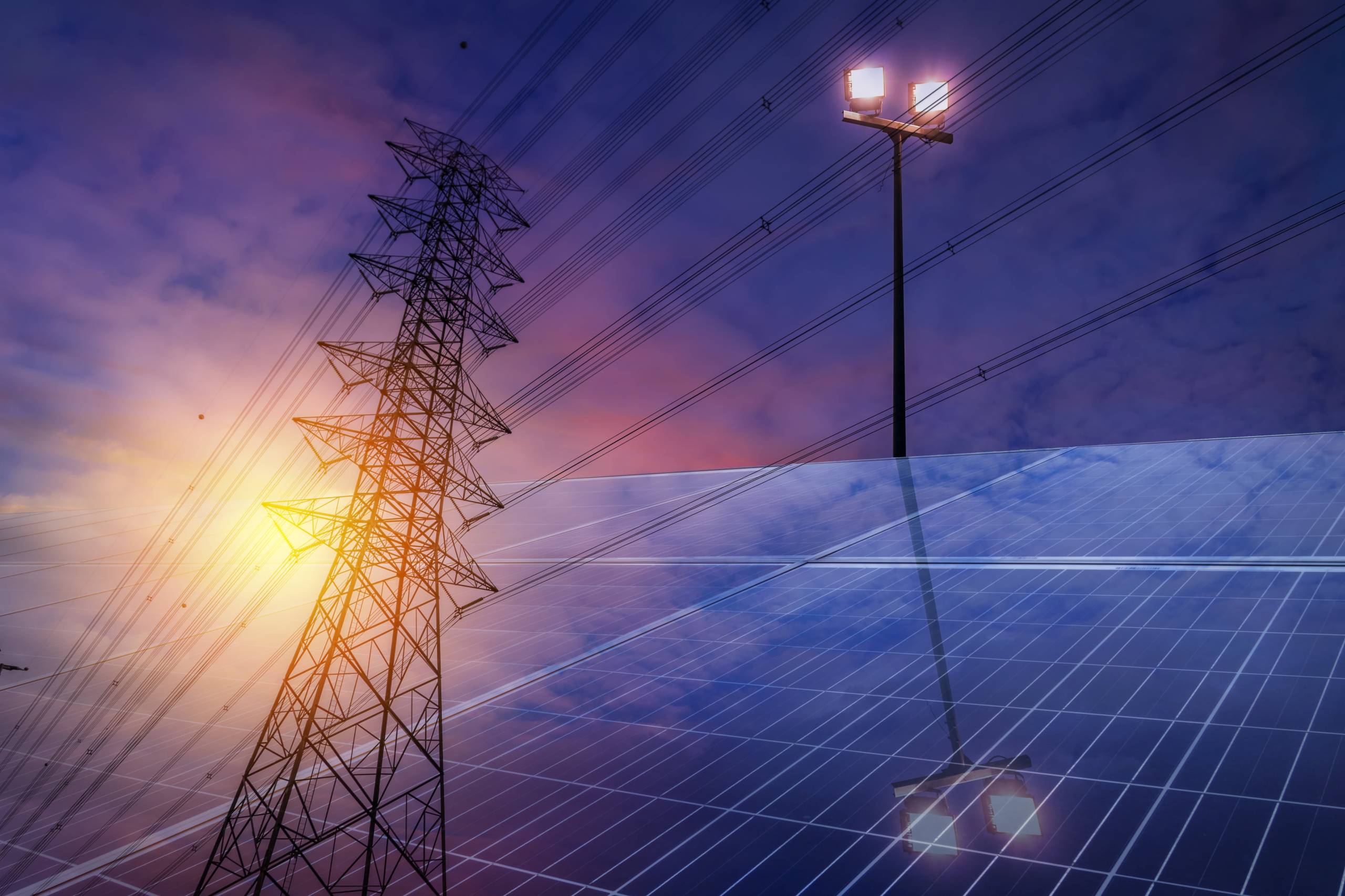 Technology & Vendor Evaluation