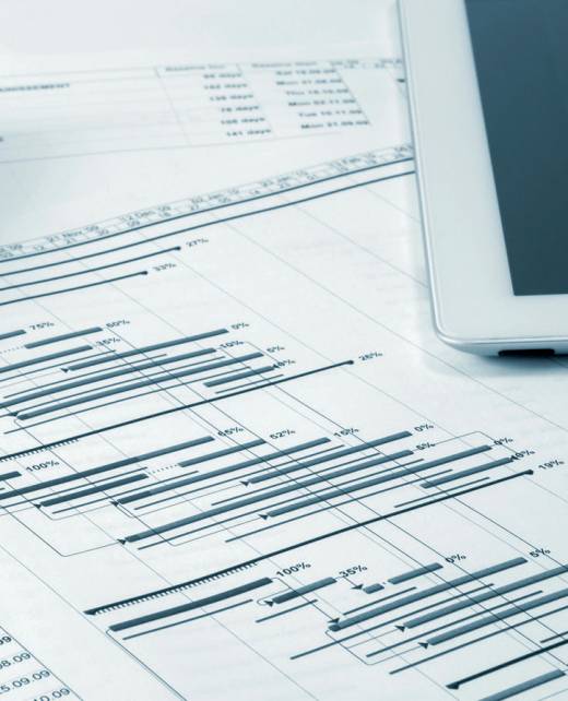 Project Lead Engineering & Management